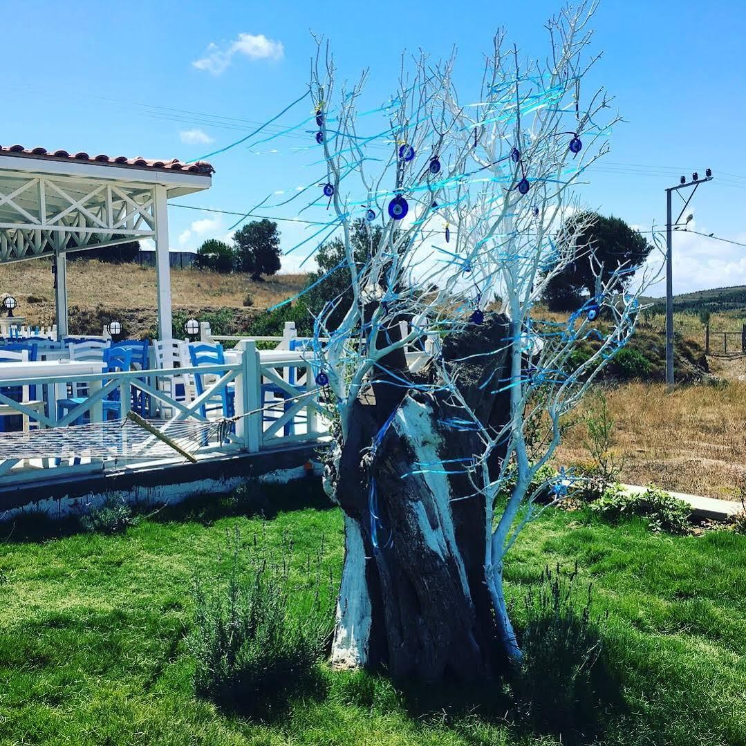 Mylos Hotel Bozcaada Zewnętrze zdjęcie
