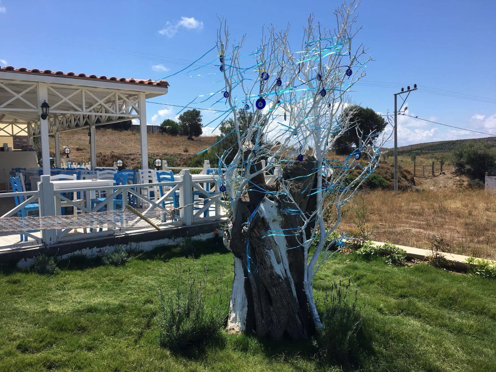 Mylos Hotel Bozcaada Zewnętrze zdjęcie